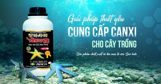 Phân Bón Trung Lượng VINCO 79 - Giải Pháp Tăng Năng Suất Vượt Trội