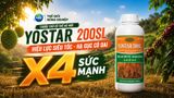 Thuốc Trừ Cỏ Yostar 200SL: Giải Pháp Diệt Cỏ Khó Trị Tận Gốc, An Toàn Cho Đất - ảnh 3