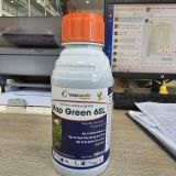 Map Green 6SL - ảnh 1