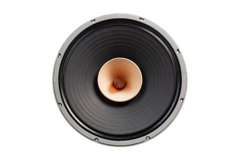  Củ loa rời toàn dải 40cm Lii Audio F-15 