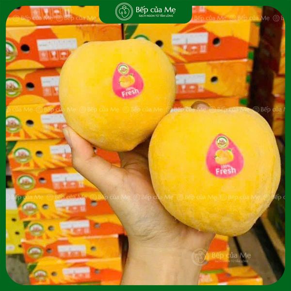  Đào Vàng Bắc Kinh 