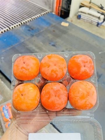  Hồng giòn - Hộp 1,6kg 