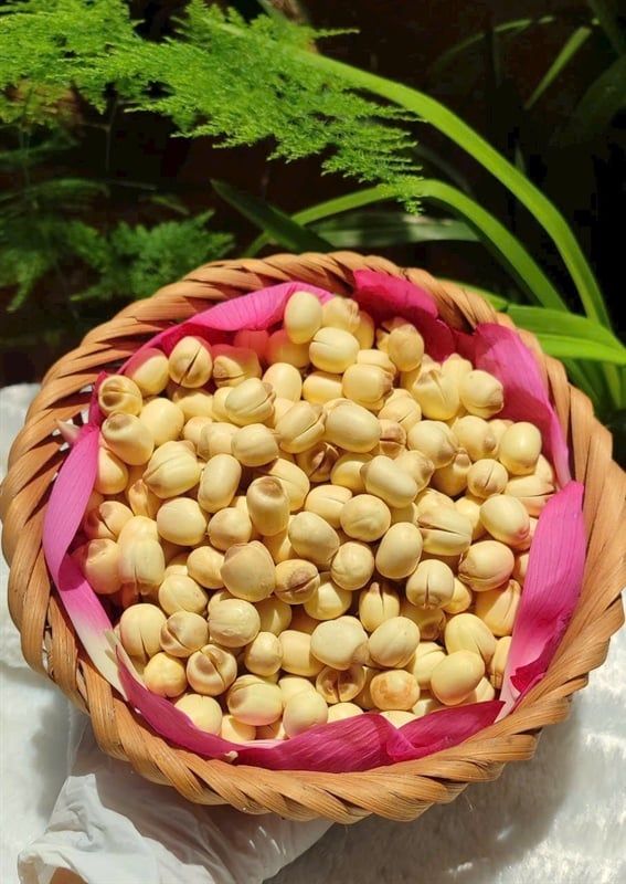  Hạt sen hấp sơ 