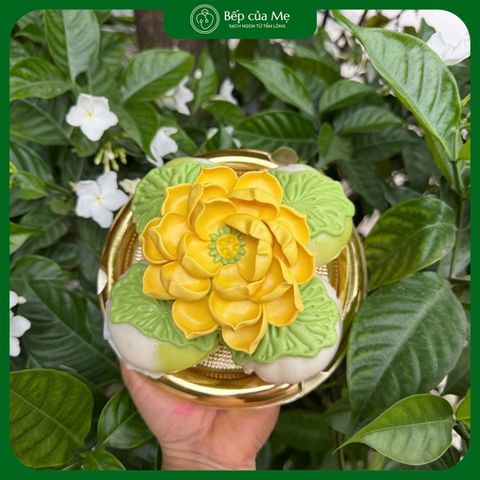  Bánh bao hoa sen vàng - Set 5 cái 