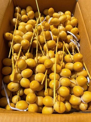  CHÀ LÀ VÀNG GIẤY (1 KG) 