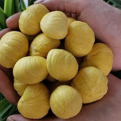  Hạt dẻ bóc sẵn - Gói 1kg 