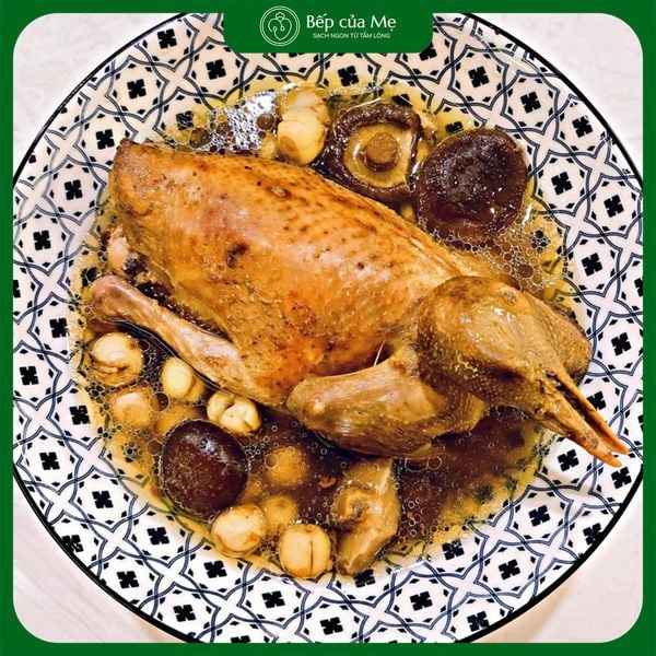  Chim Câu Hầm Sen Cốm 