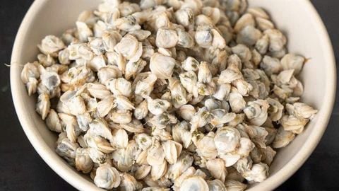  Ruột hến sông La 