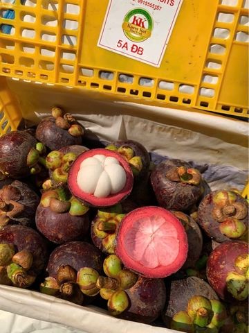  Măng cụt (size to đặc biệt) - Kg 