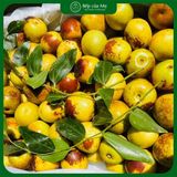  Hồng Táo Vip Vàng (NET 1,5KG) 