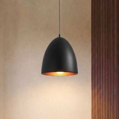 Đèn thả chụp sắt giá rẻ TDC-64