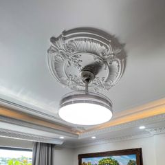 Quạt trần đèn, cánh xếp, thiết kế hiện đại QT-123