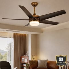 Quạt trần đèn thiết kế 5 cánh nhựa tối giản, hiện đại QT-248