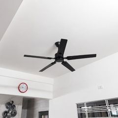 Quạt trần thiết kế 5 cánh kim loại tối giản, hiện đại QT-241
