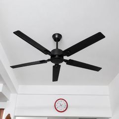 Quạt trần thiết kế 5 cánh kim loại tối giản, hiện đại QT-241