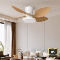 Quạt trần đèn thiết kế 5 cánh nhựa tối giản, hiện đại QT-209