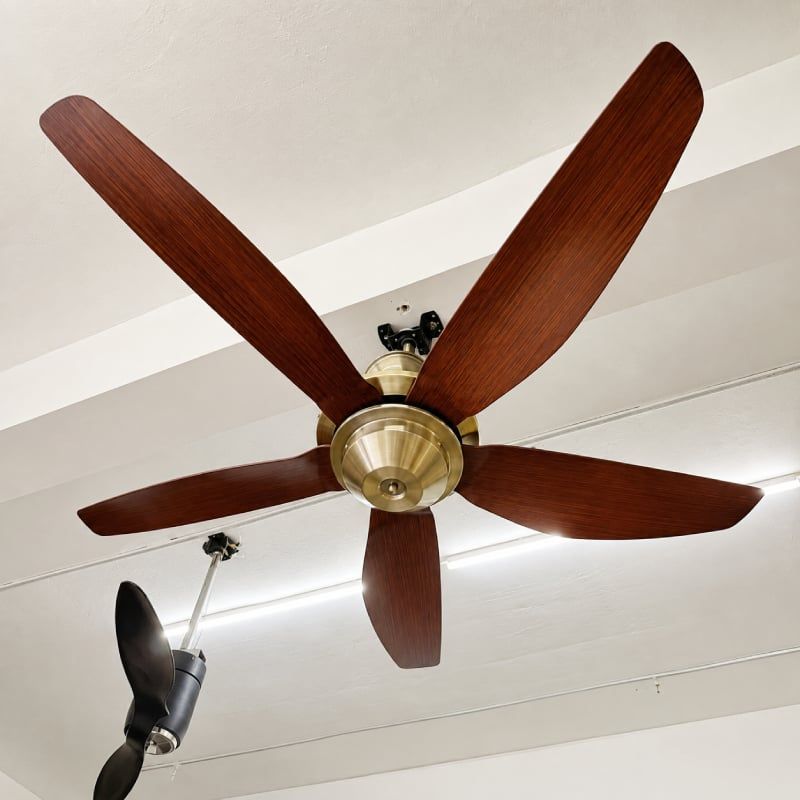 Quạt trần thiết kế 5 cánh nhựa tối giản, hiện đại QT-246