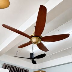 Quạt trần thiết kế 5 cánh nhựa tối giản, hiện đại QT-246
