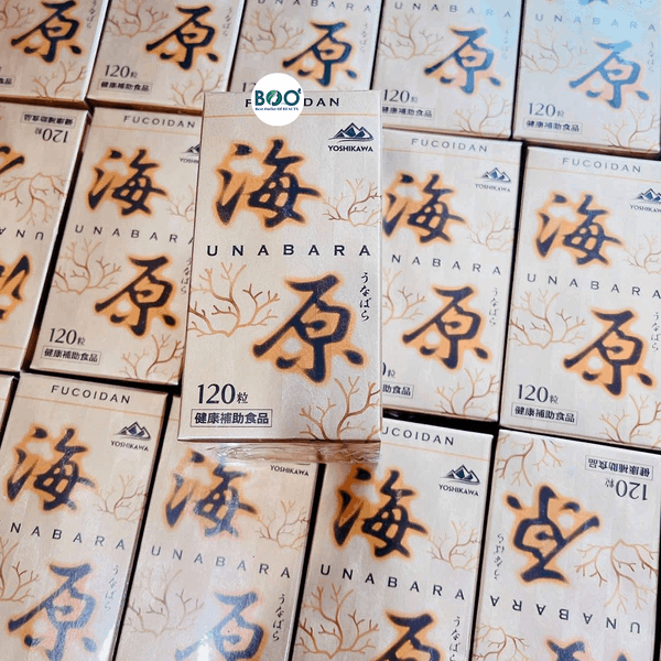 Viên uống tảo nâu tăng cường sức đề kháng, ngừa ung thư Yoshikawa Fucoidan Unabara (120 viên)