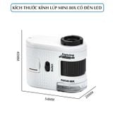 Kính lúp mini 80x kẹp ống kính camera điện thoại 2in1 W5800B