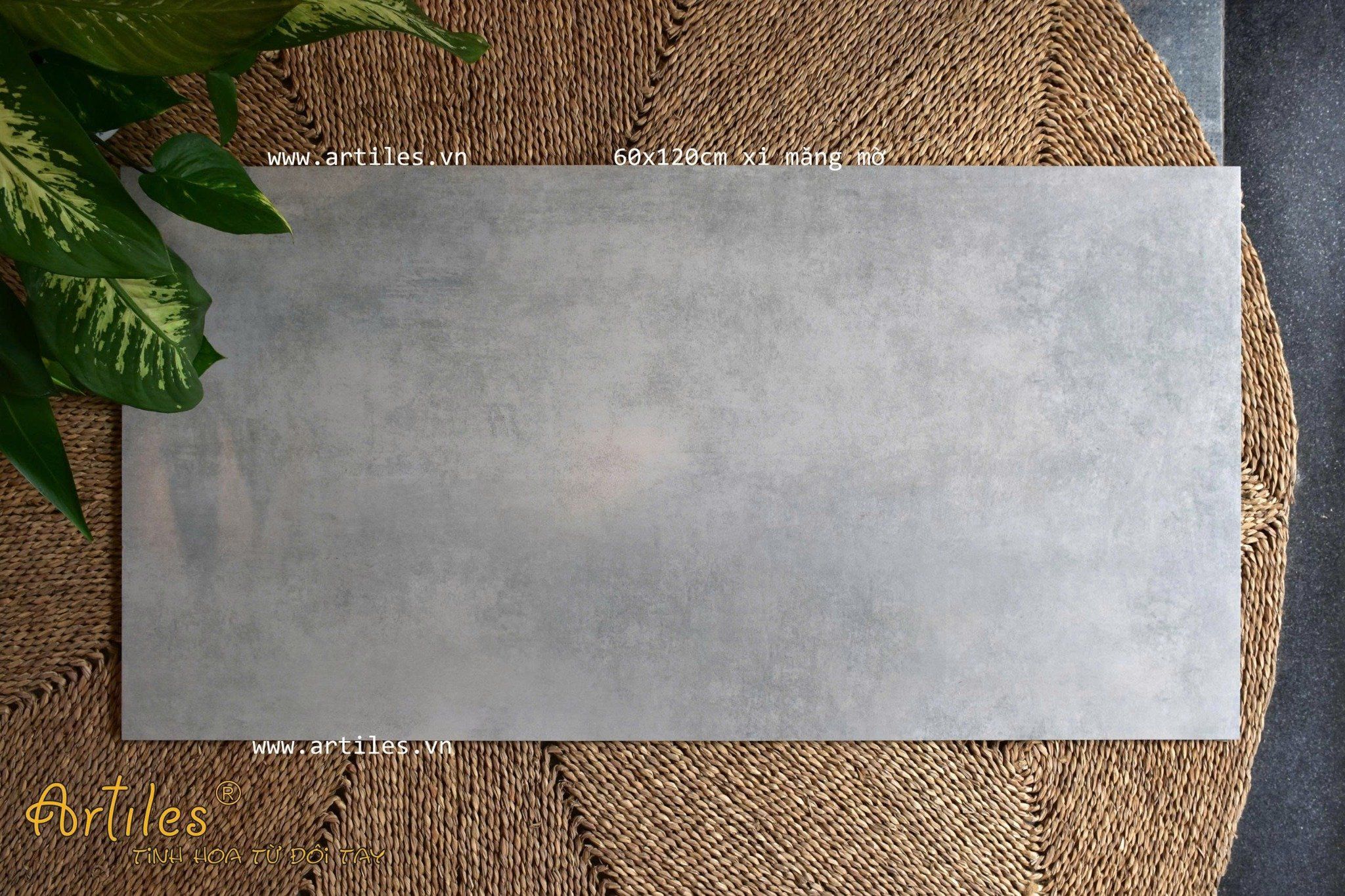 Gạch xám ximang 60x120cm mờ