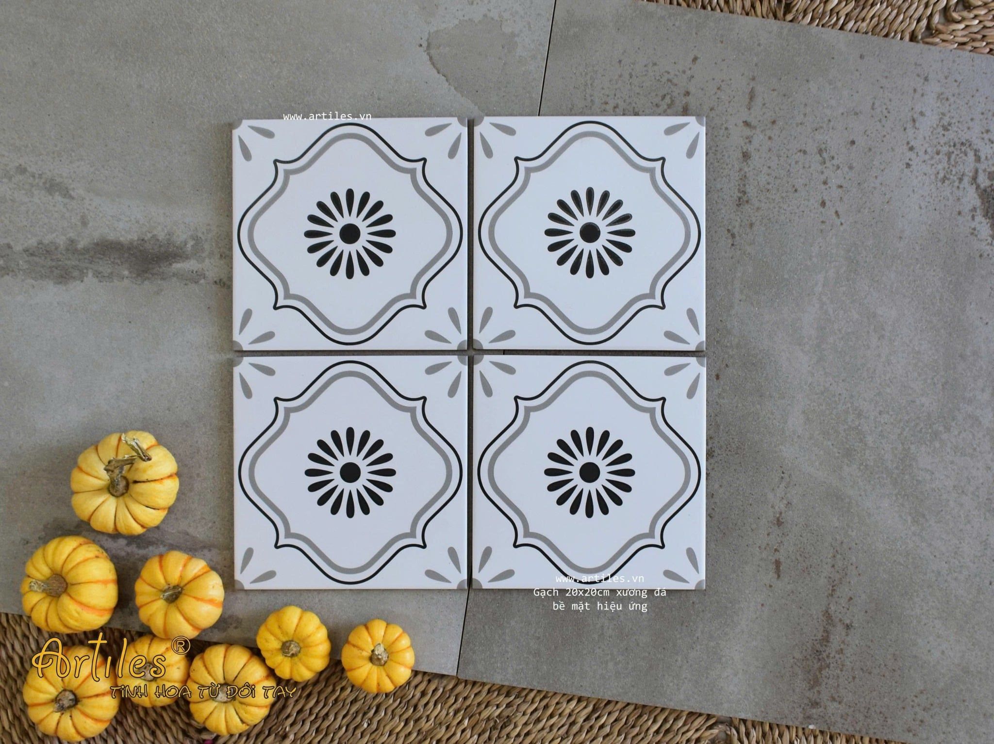 Gạch bông họa tiết 20x20cm Art2213