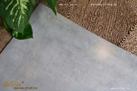  Gạch xám ximang 60x120cm mờ 