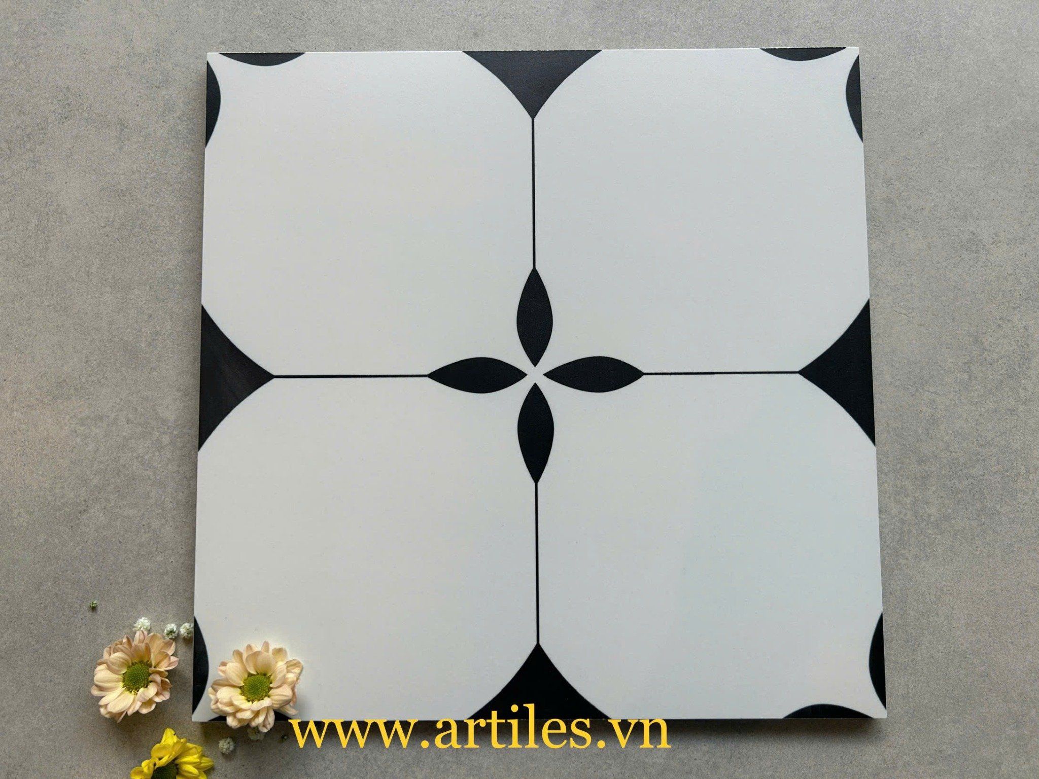 Gạch bông men 30x30cm