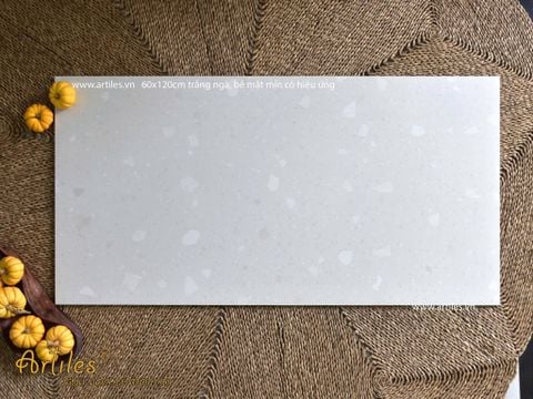  Gạch terrazzo đá sỏi trắng ngà Art61207 