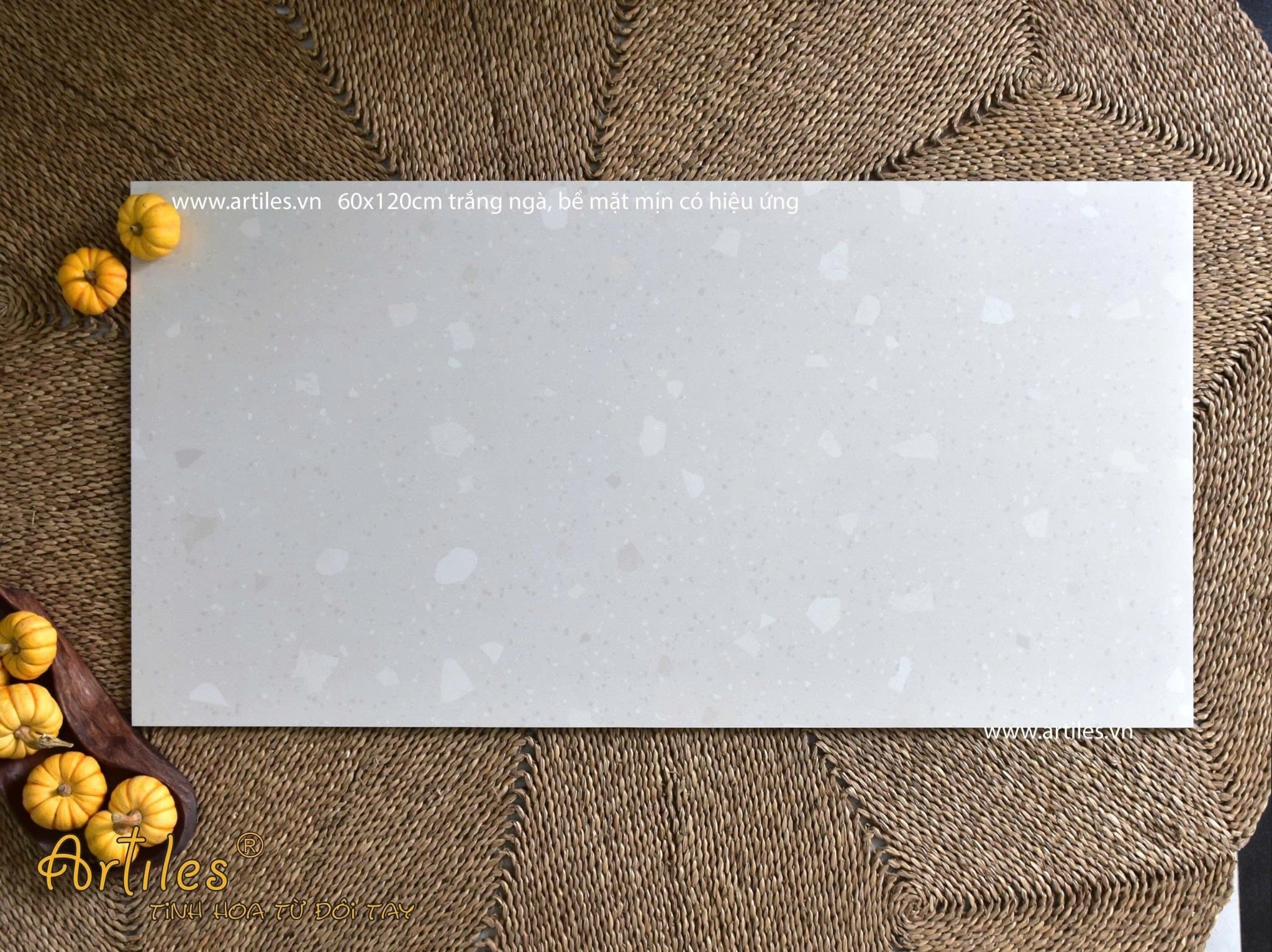 Gạch terrazzo đá sỏi trắng ngà Art61207