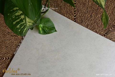  Gạch xám ximang 60x120cm màu xám kem 