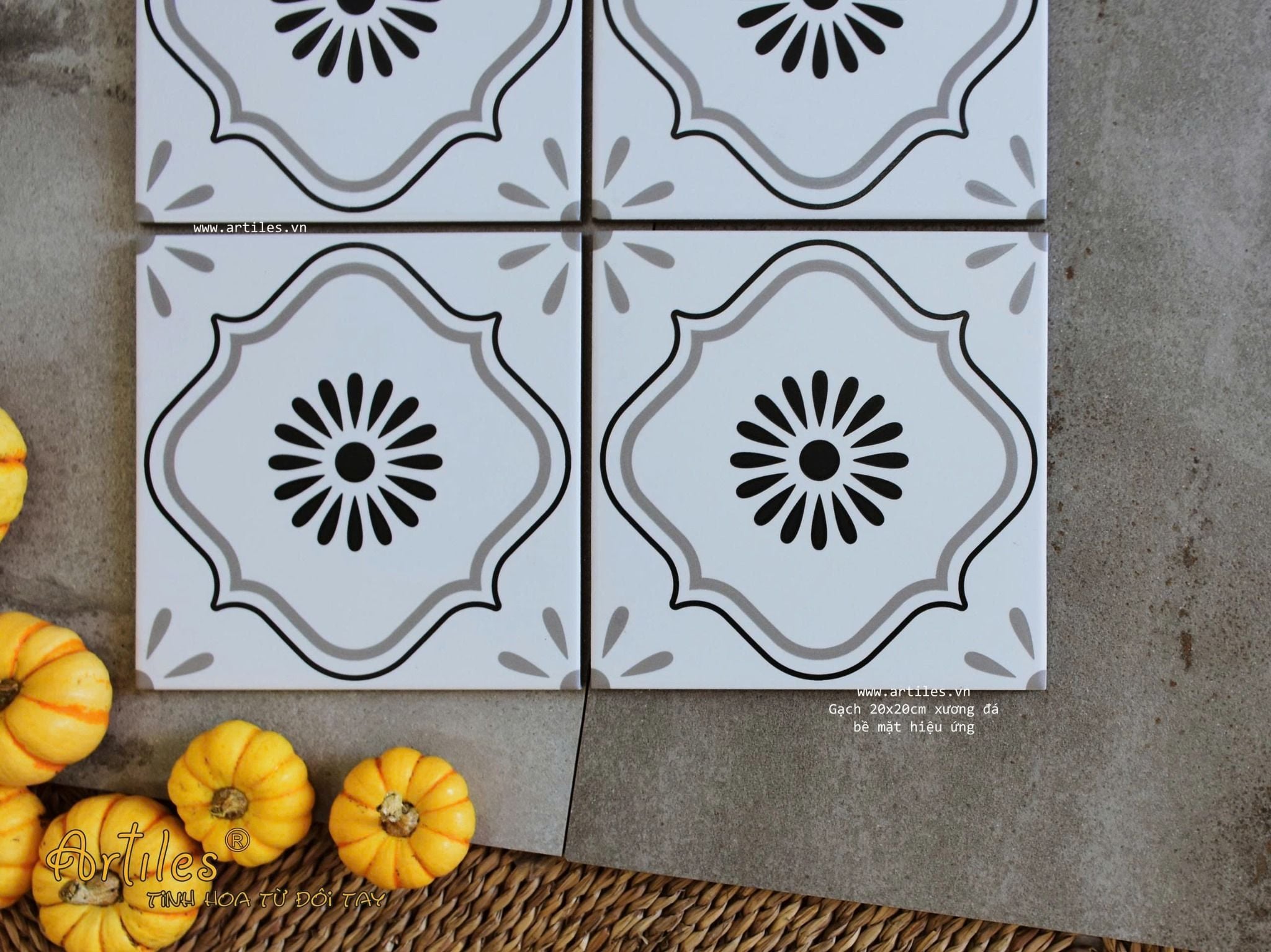 Gạch bông họa tiết 20x20cm Art2213