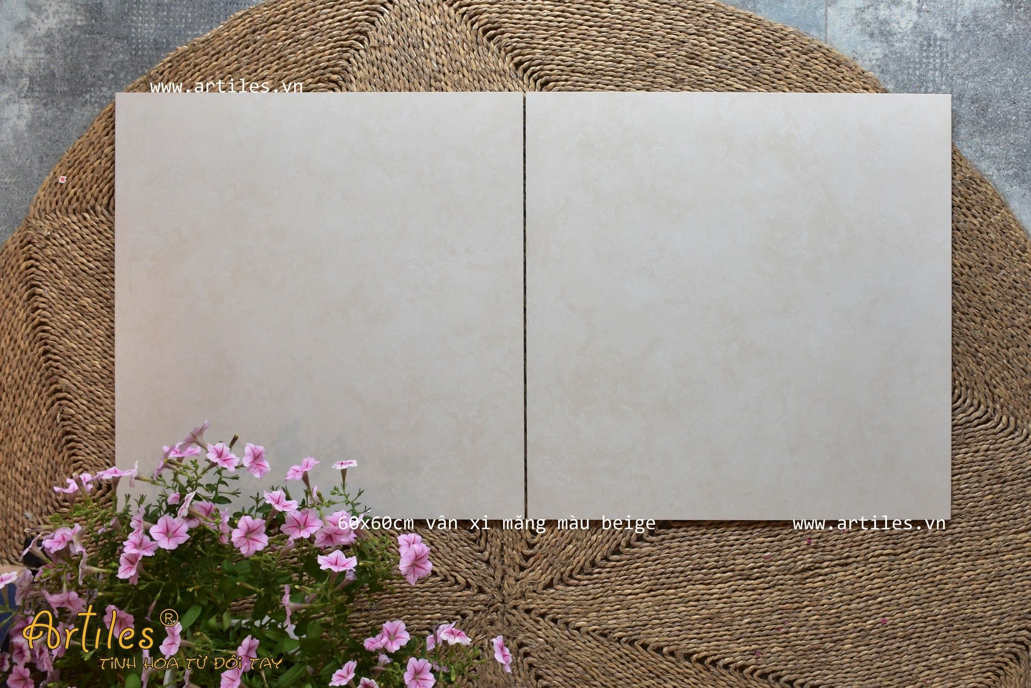 Gạch vân ximang màu be Malaysia H705