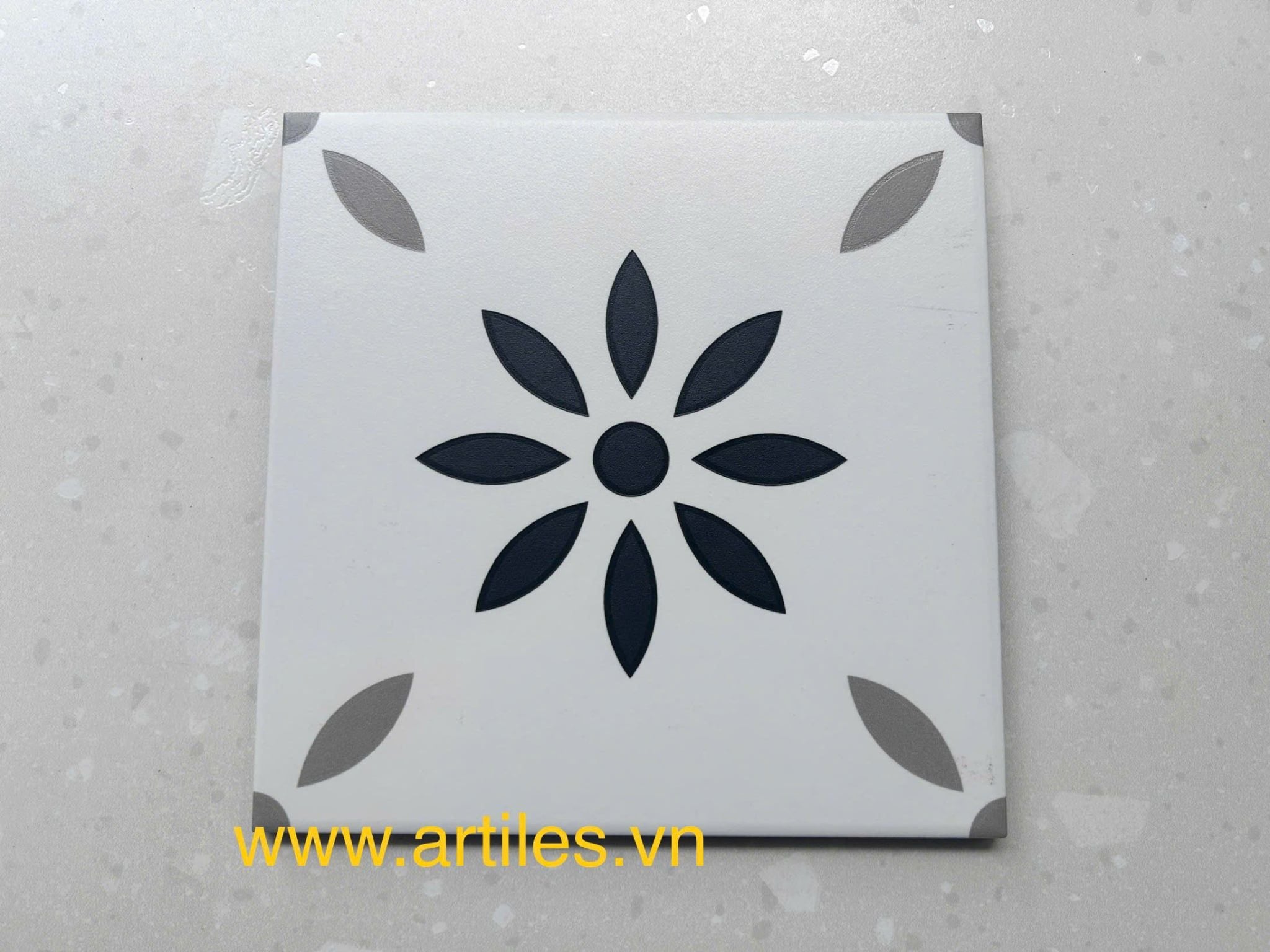 Gạch bông họa tiết 20x20cm Art2205