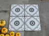 Gạch bông họa tiết 20x20cm Art2213