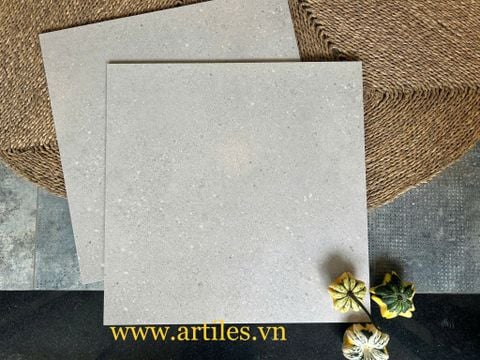  Gạch vân đá sa thạch 60x60cm màu xám bạc 