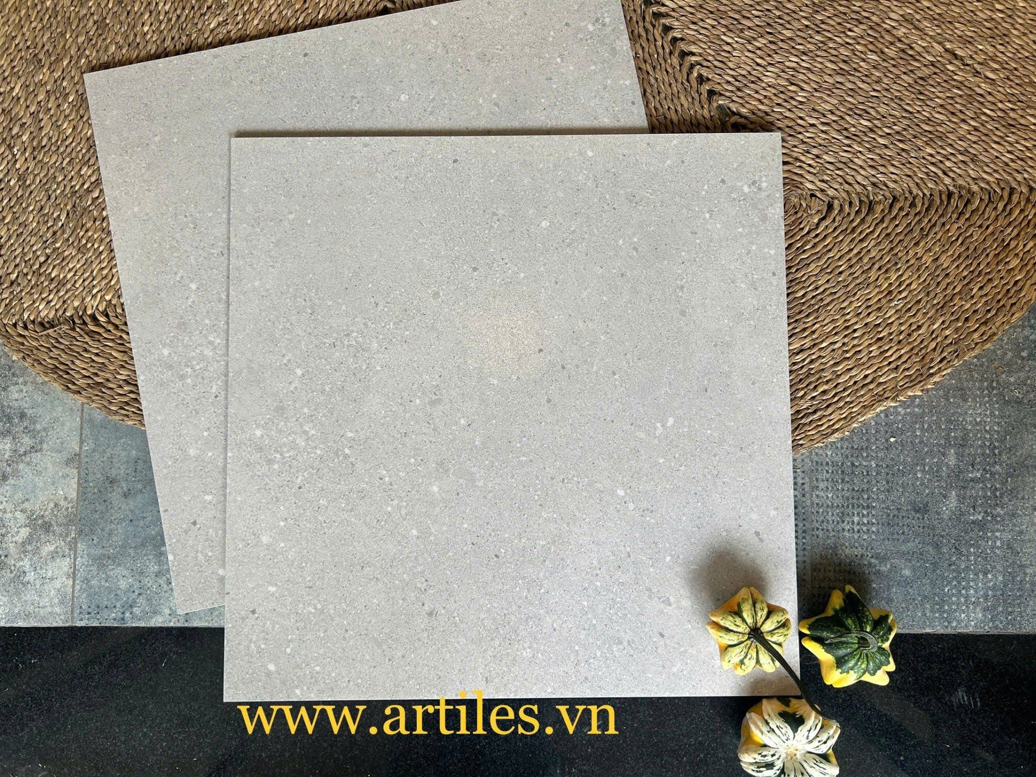 Gạch vân đá sa thạch 60x60cm màu xám bạc Art19A