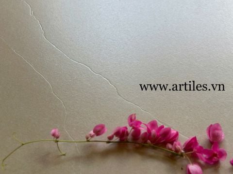  Gạch 80x80 màu kem vàng Art8816D 