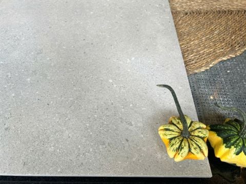  Gạch vân đá sa thạch 60x60cm màu xám bạc 