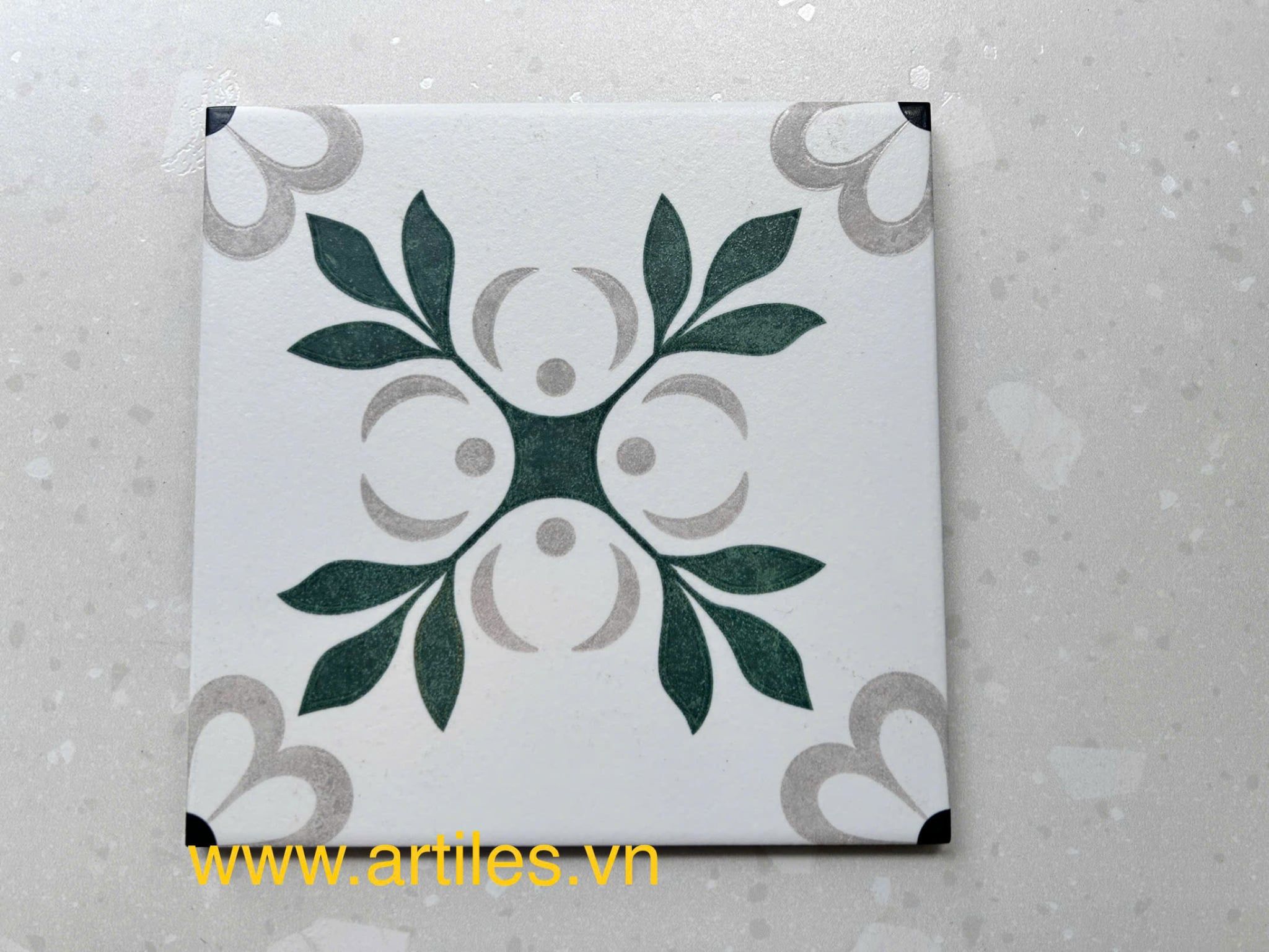 Gạch bông họa tiết 20x20cm Art2203