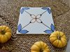 Gạch bông họa tiết 20x20cm Art2216