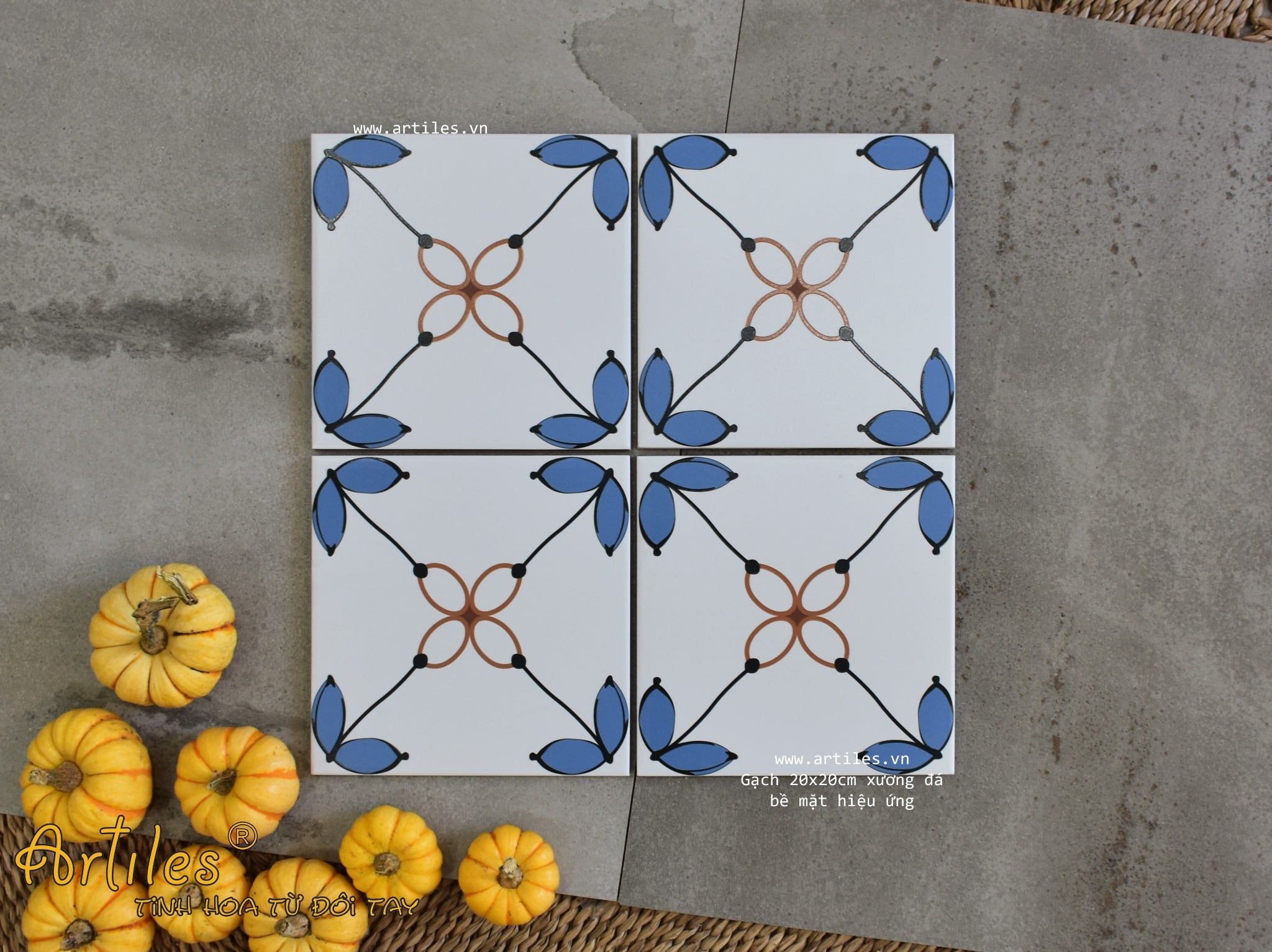 Gạch bông họa tiết 20x20cm Art2216