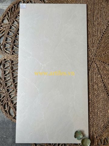  Gạch 60x120cm mờ xám trắng ArtM61203 