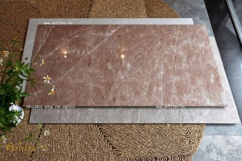  Gạch bóng kiếng 60x120cm màu nâu 