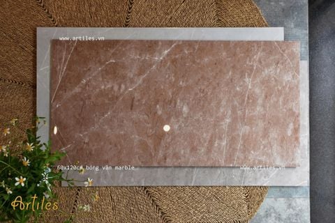 Gạch bóng kiếng 60x120cm màu nâu 