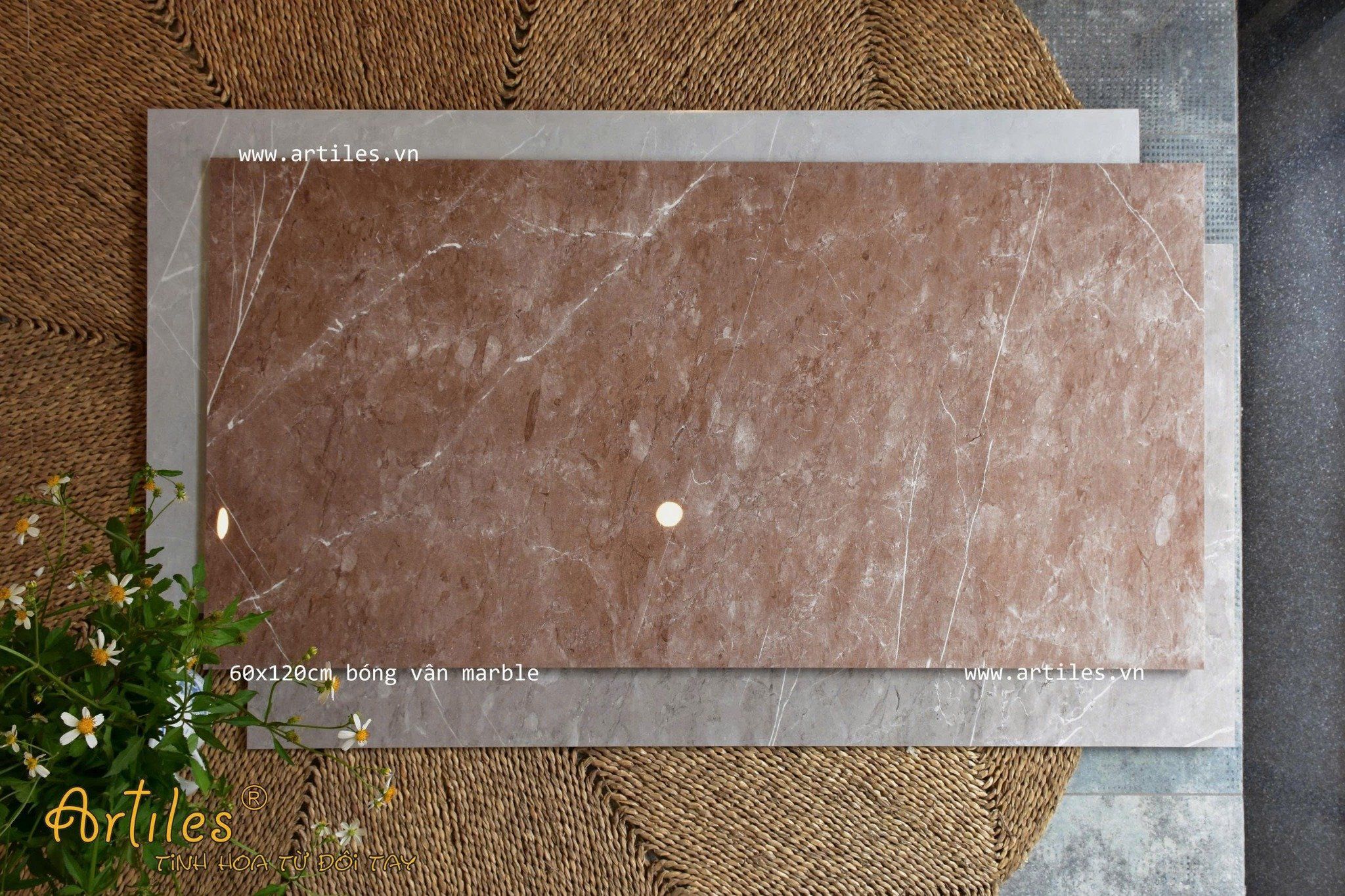 Gạch bóng kiếng 60x120cm màu nâu