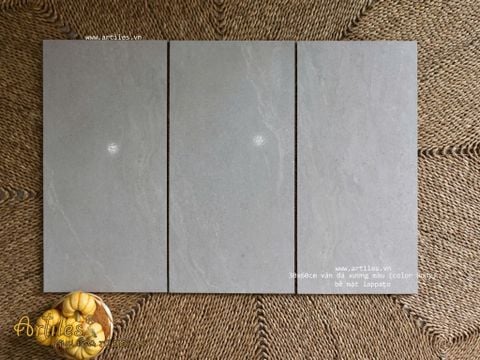  Gạch vân đá sa thạch 30x60cm Art3601 