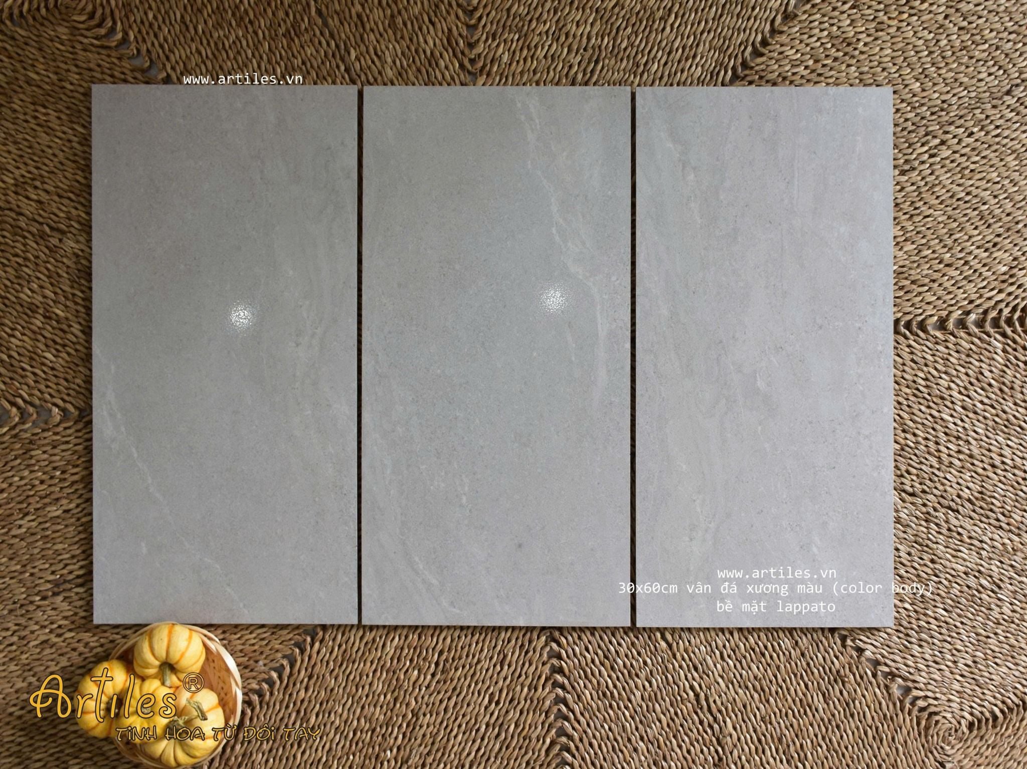 Gạch vân đá sa thạch 30x60cm Art3601