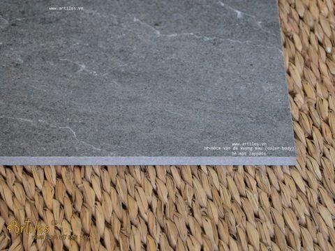  Gạch vân đá sa thạch 30x60cm Art3602 