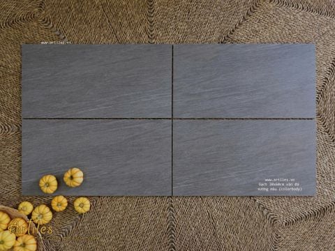  Gạch vân đá sọc 30x60cm Art3610 
